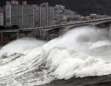 Miniatura: Najsilniejszy od lat tajfun sieje śmierć w...