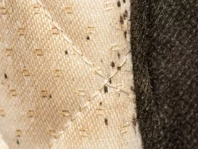 Miniatura: Plaga pluskiew w jednym z bloków w...