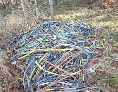 Miniatura: Szokujący widok w lesie. Leśnicy z Gniezna...