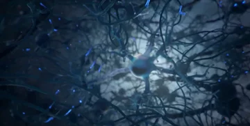 Neurony 