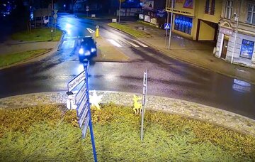 Lot przez rondo Piłsudskiego w&nbsp;Sulechowie