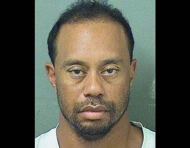 Miniatura: Tiger Woods zatrzymany przez policję....
