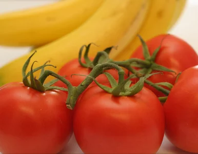 Miniatura: Nie pomidory ani banany. Te grzyby to...