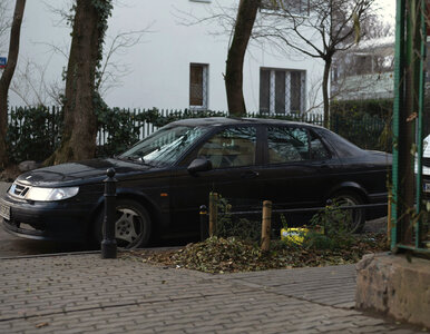 Miniatura: Mandat, punkty karne, holowanie. Co grozi...