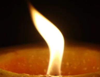 Miniatura: Wyprowadził białostocki teatr w plener....