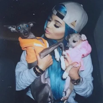Normie i Bambi 
