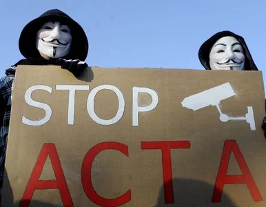 Miniatura: U premiera o ACTA. Tusk: zabrakło mi...