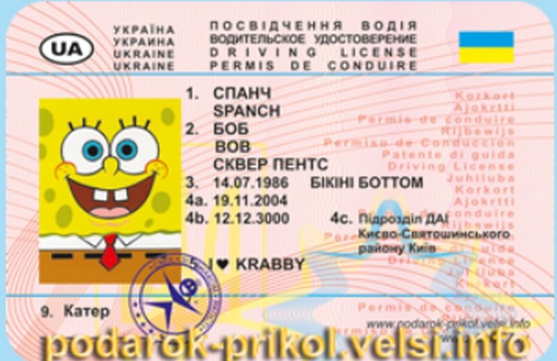 SpongeBob Kanciastoporty 