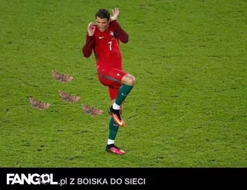 Memy po finale Euro 2016 (fangol.pl) 