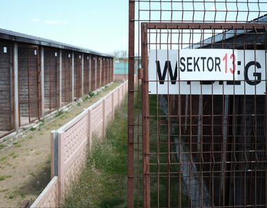 Miniatura: Setki świadków, a wyroków wciąż brak. To...