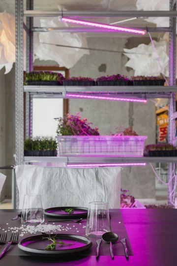 Venue 54 pop up Restaurant, Ryga. Projekt: Open AD 