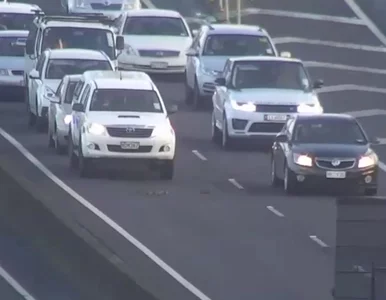 Miniatura: Kacza rodzina cudem uniknęła śmierci na...