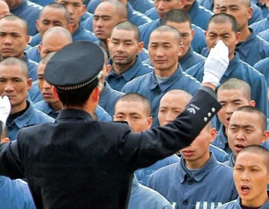 Miniatura: Więzień zastępczy