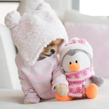 Jiffpom 