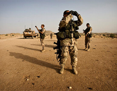 Miniatura: Afganistan: trzech żołnierzy NATO zginęło...