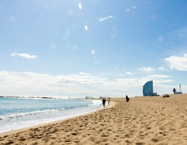 Miniatura: Ryzyko zakażenia w turystycznym raju....