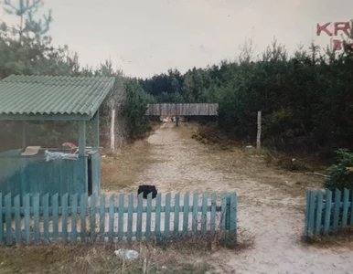 Miniatura: Tajemnicza zbrodnia na strzelnicy. Strzał...