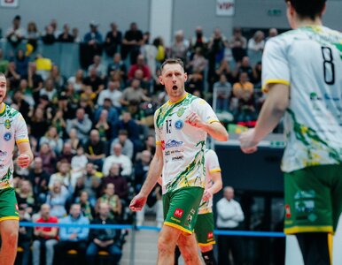 Miniatura: Siatkarskie święto na Dolnym Śląsku. Czas...