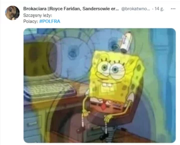 Mem po meczu Polski z Francją 