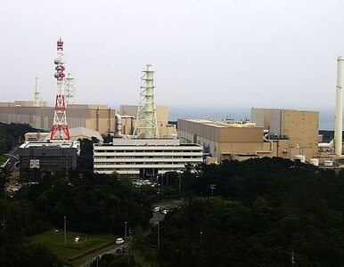 Miniatura: Japonia zamyka kolejną elektrownię