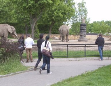 Miniatura: Zoo - miejsce rekreacji i nauki