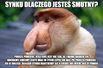Smutny mem z nosaczem 