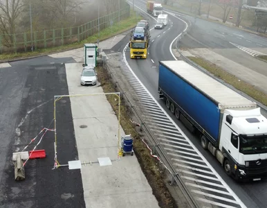 Miniatura: Groźna choroba zwierząt w pobliżu Polski....