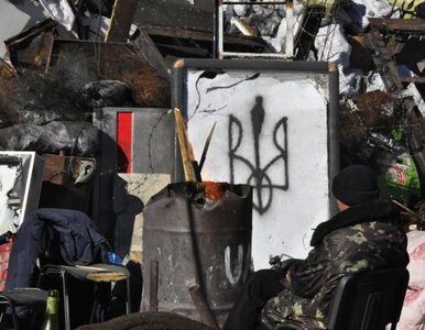 Miniatura: Separatyści zatrzymali aktywistkę Majdanu....