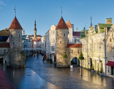 Miniatura: To niedocenione miasto staje się...