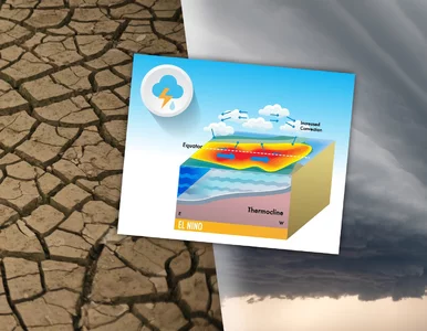 Miniatura: Naukowcy ostrzegają przed „super El Niño”....