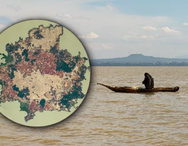 Miniatura: Wyspy na złowieszczo zielonym jeziorze. W...