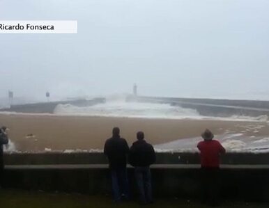 Miniatura: Monstrualne fale w Portugalii. Woda wdarła...