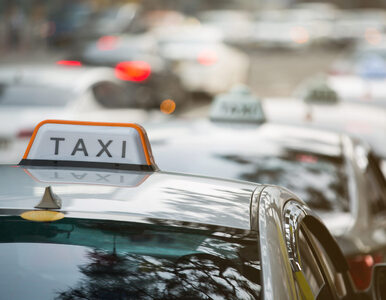 Miniatura: To oni najczęściej jeżdżą taksówkami....