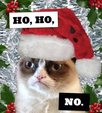 Grumpy Cat 