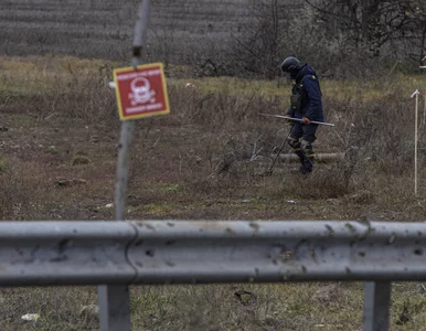 Miniatura: Tajna misja polskich policjantów w...