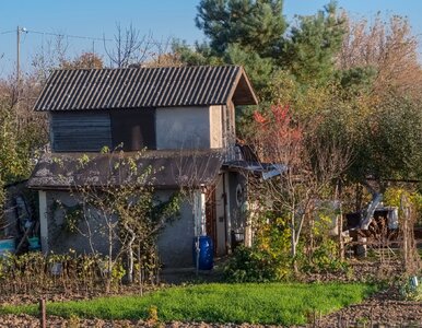 Miniatura: Podatek za szopę wyższy niż za dom?...