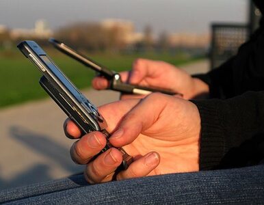 Miniatura: Polacy wciąż wolą wiadomości sms od internetu