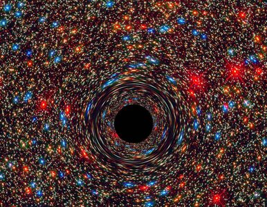 Miniatura: Zobacz, jak czarna dziura pożera gwiazdę...