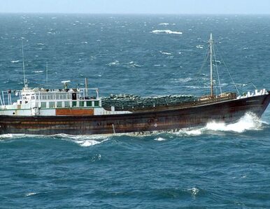 Miniatura: Piraci uprowadzili statek z chińską załogą