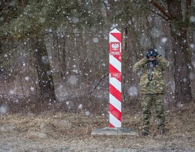 Miniatura: SG: Kraje UE „zwracają” Polsce migrantów....