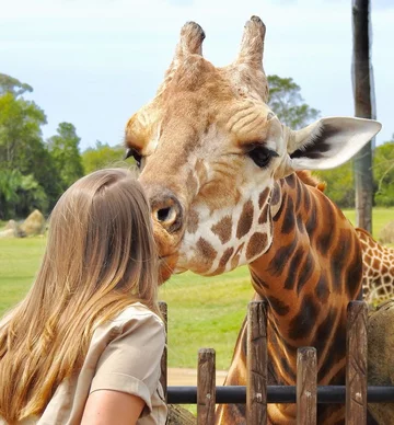 Bindi Irwin 