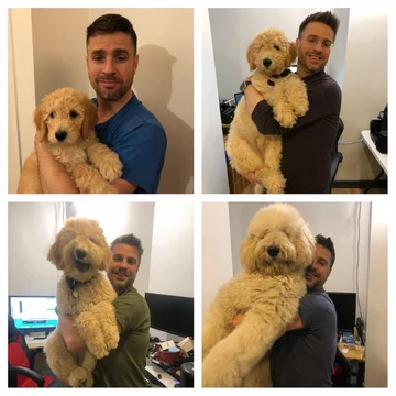 Właściciele pokazują jak urosły ich zwierzęta 