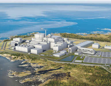 Miniatura: Rosjanie nie zbudują elektrowni atomowej w...