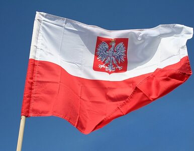Miniatura: OECD pozytywnie o Polsce. "Rozwój...