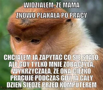 Smutny mem z nosaczem 
