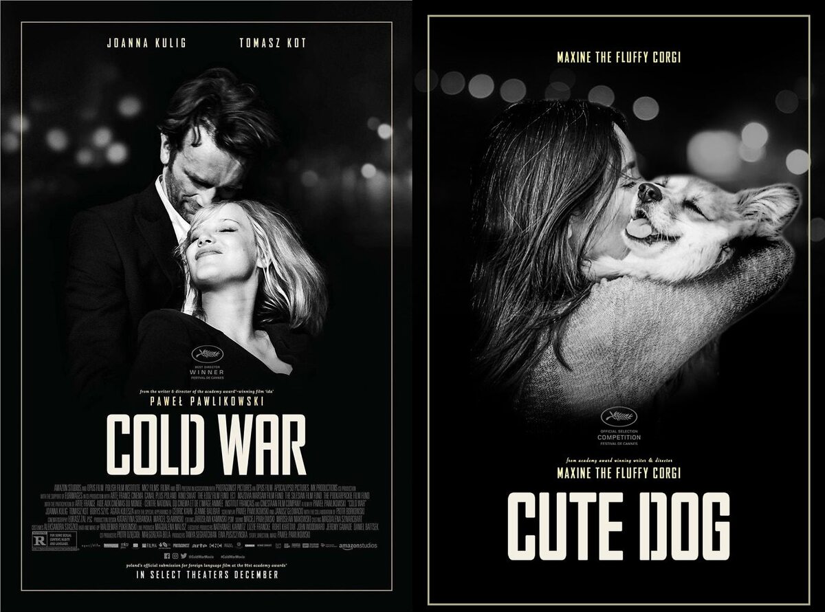 Plakat "Cold War" i plakat "Cute Dog" 