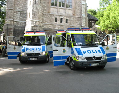 Miniatura: Szwecja. Dwoje dzieci rannych w...