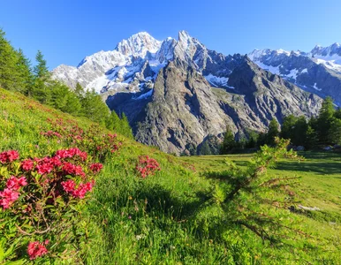 Miniatura: Nagły zgon 15-latka. Chodził po górskim...