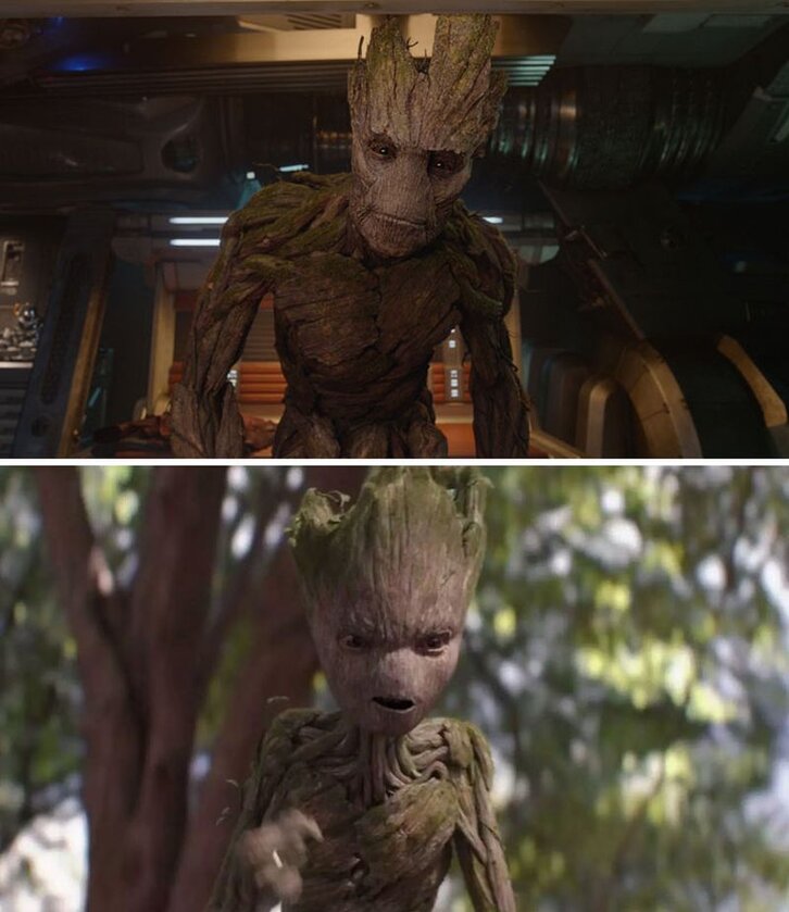 Groot 