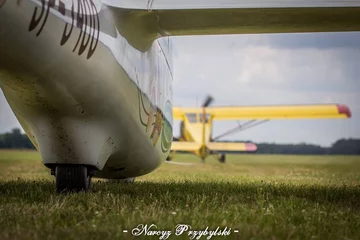 Puchacz oraz samolot Jak 12 